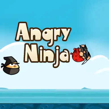 Angry Ninja game