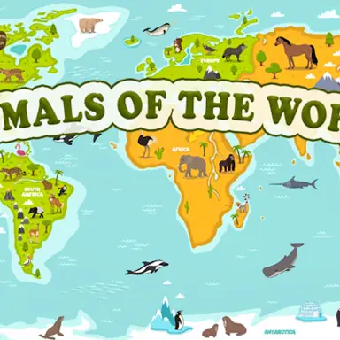 Animals of the World oyunu