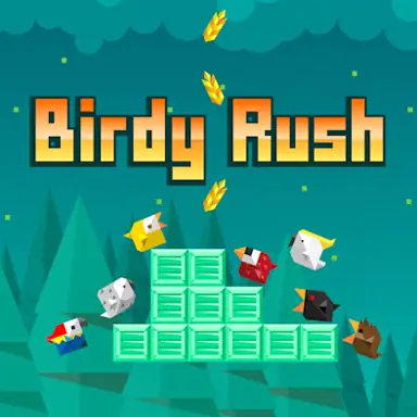 Birdy Rush oyunu