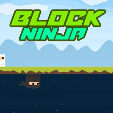 Block Ninja oyunu