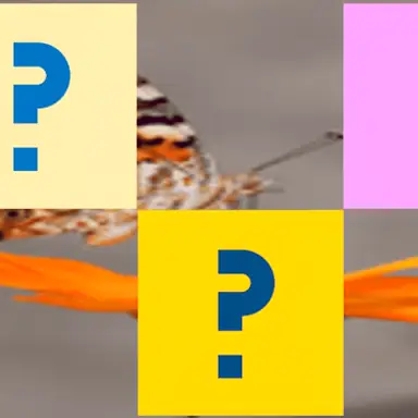 Butterfly Memory Match oyunu