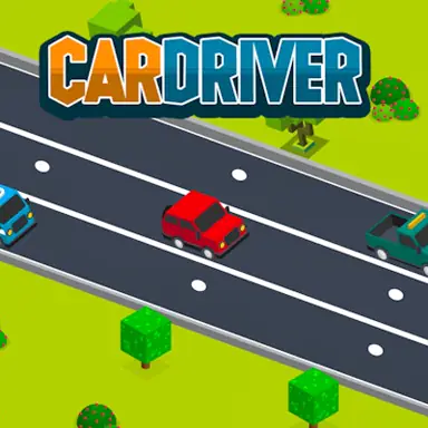 Car Driver game