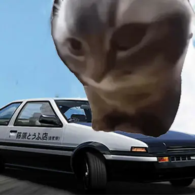 Car Stunt Chipi Chipi Chapa Chapa Cat oyunu