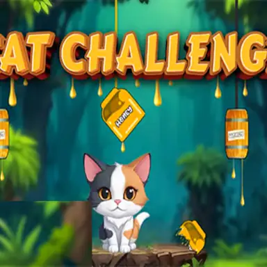 Cat Challenge oyunu