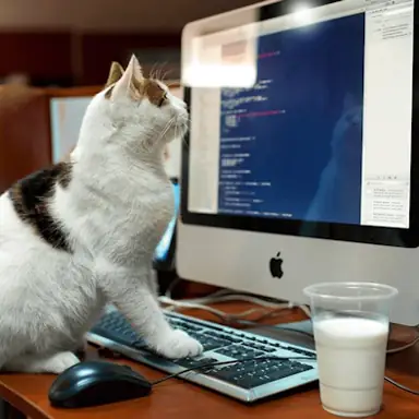 Cat Memory Match oyunu