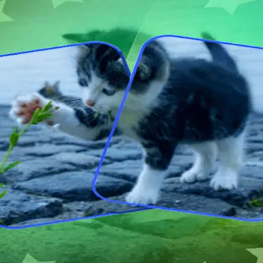 Cat Puzzle Memory Match game