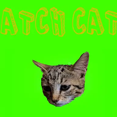 Catch Cats game