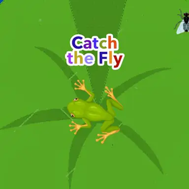 Catch the Fly oyunu