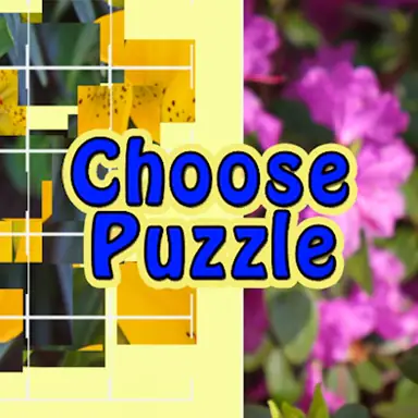 Choose Puzzle oyunu