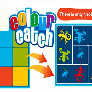 Colour Catch game
