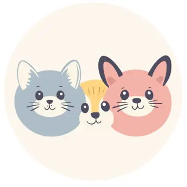 CRAZY ANIMALS oyunu
