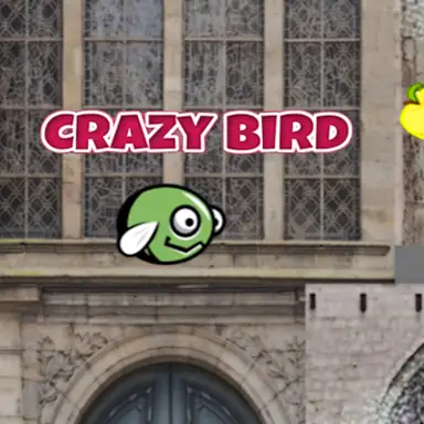 CrazyBirdCity oyunu