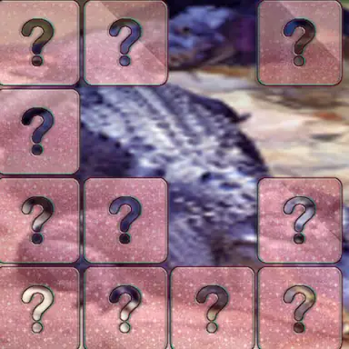 Crocodile Memory Match oyunu