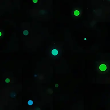 Dot and Box game