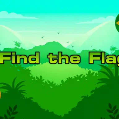 Find the Flag game