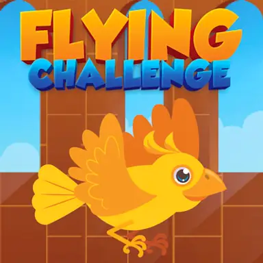 Flying Challenge oyunu