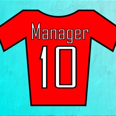 Football Manager Simulator game