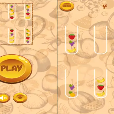 Fruit Sort Master Pro game