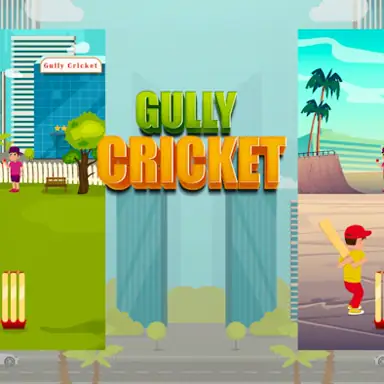 Gully Cricket game