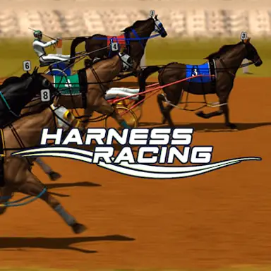 Harness Racing game