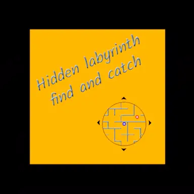 Hidden labyrinth - find and catch game