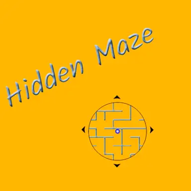 Hidden Maze oyunu