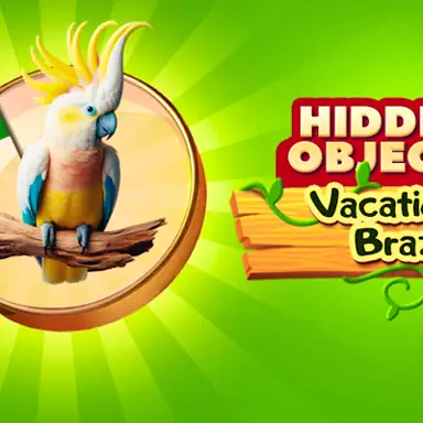Hidden Objects Vacation in Brazil game