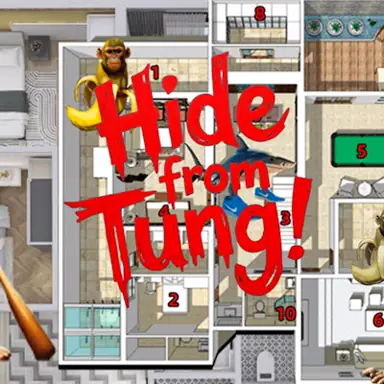 Hide from Tung! game