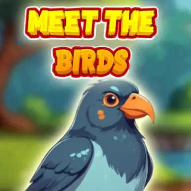 Meet The Birds oyunu