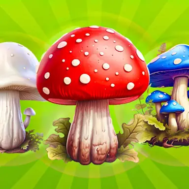 Merge Mushrooms 2048! oyunu
