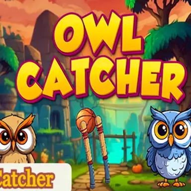 Owl Catcher oyunu