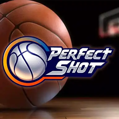 Perfect Shot oyunu