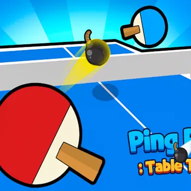 Ping Pong Table Tennis game
