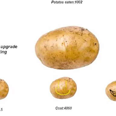 Potato oyunu