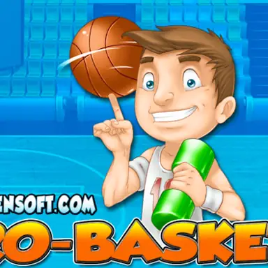 Pro Basket game