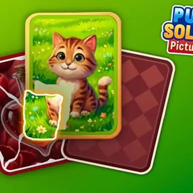 Puzzle Solitaire Picture Match oyunu