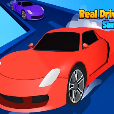 Real Driving Simulator game