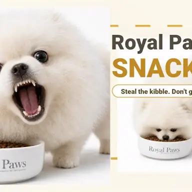 Royal Paws Snack oyunu