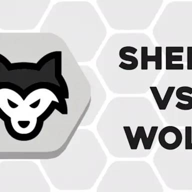 Sheep vs Wolf oyunu