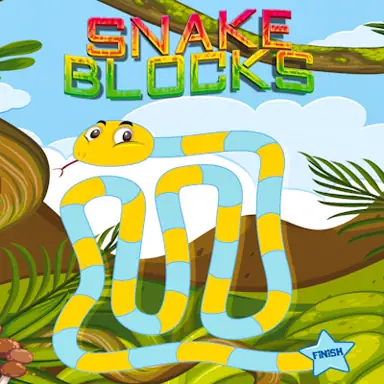 Snake Blocks game