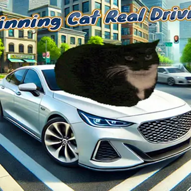 Spinning Cat Real Driving game
