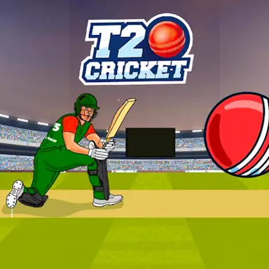 T20 Cricket game