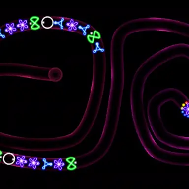 TD Neon Shoot - Zuma oyunu