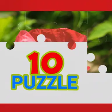 TenPuzzle oyunu