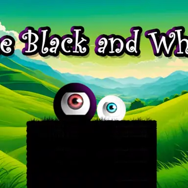 The Black And White game