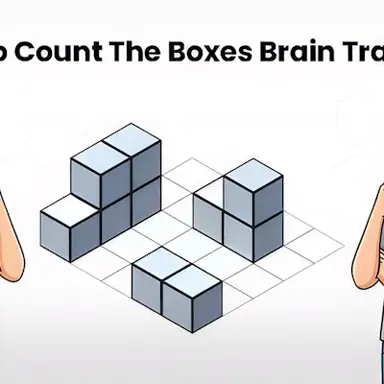 Try To Count The Boxes Brain Training oyunu