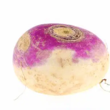 Turnip game