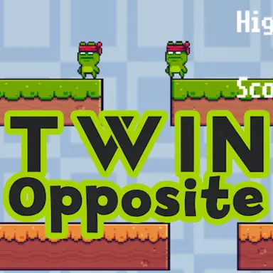 Twin Opposite oyunu