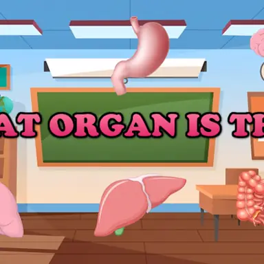 What Organ Is This? oyunu