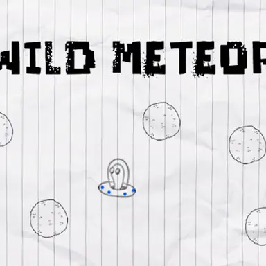 Wild Meteor oyunu